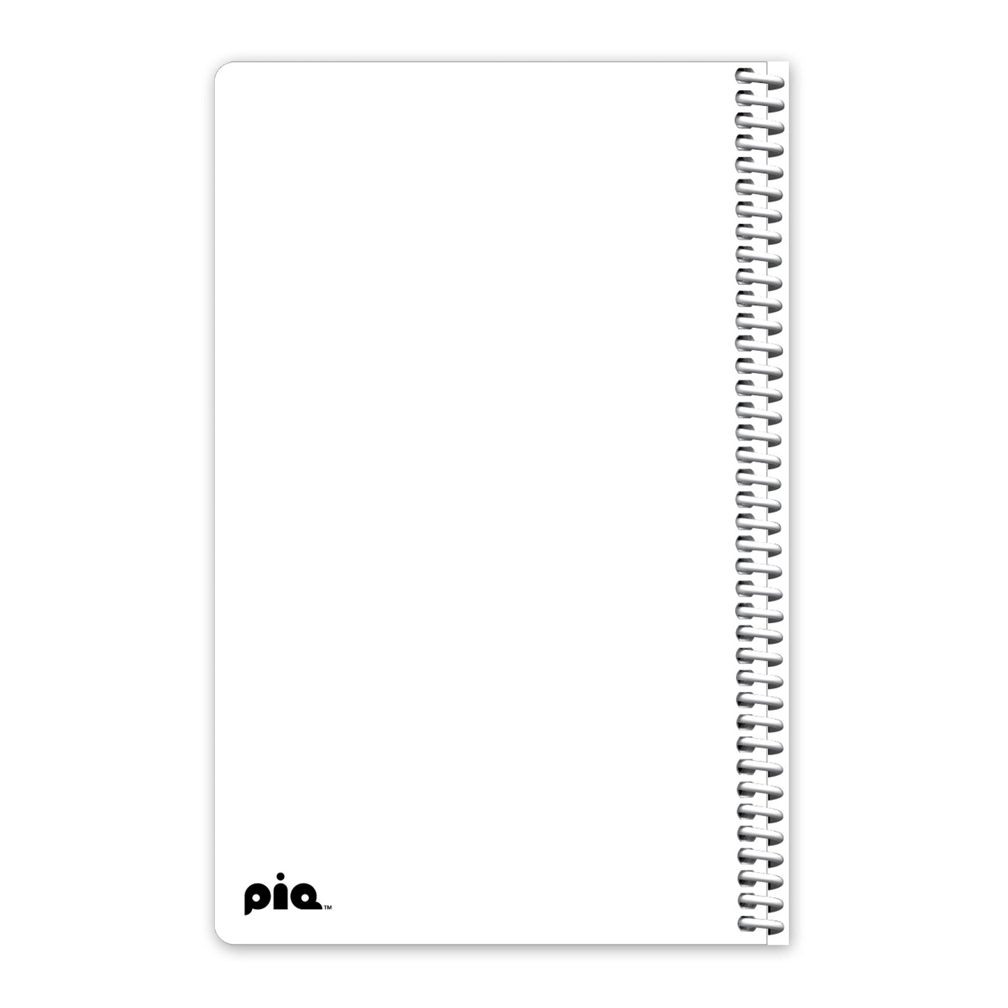 Catholic Faith Planner: Grades 9-12 (Stock)