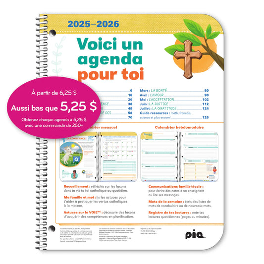 La foi catholique, primaire 3-6 (Sur mesure)
