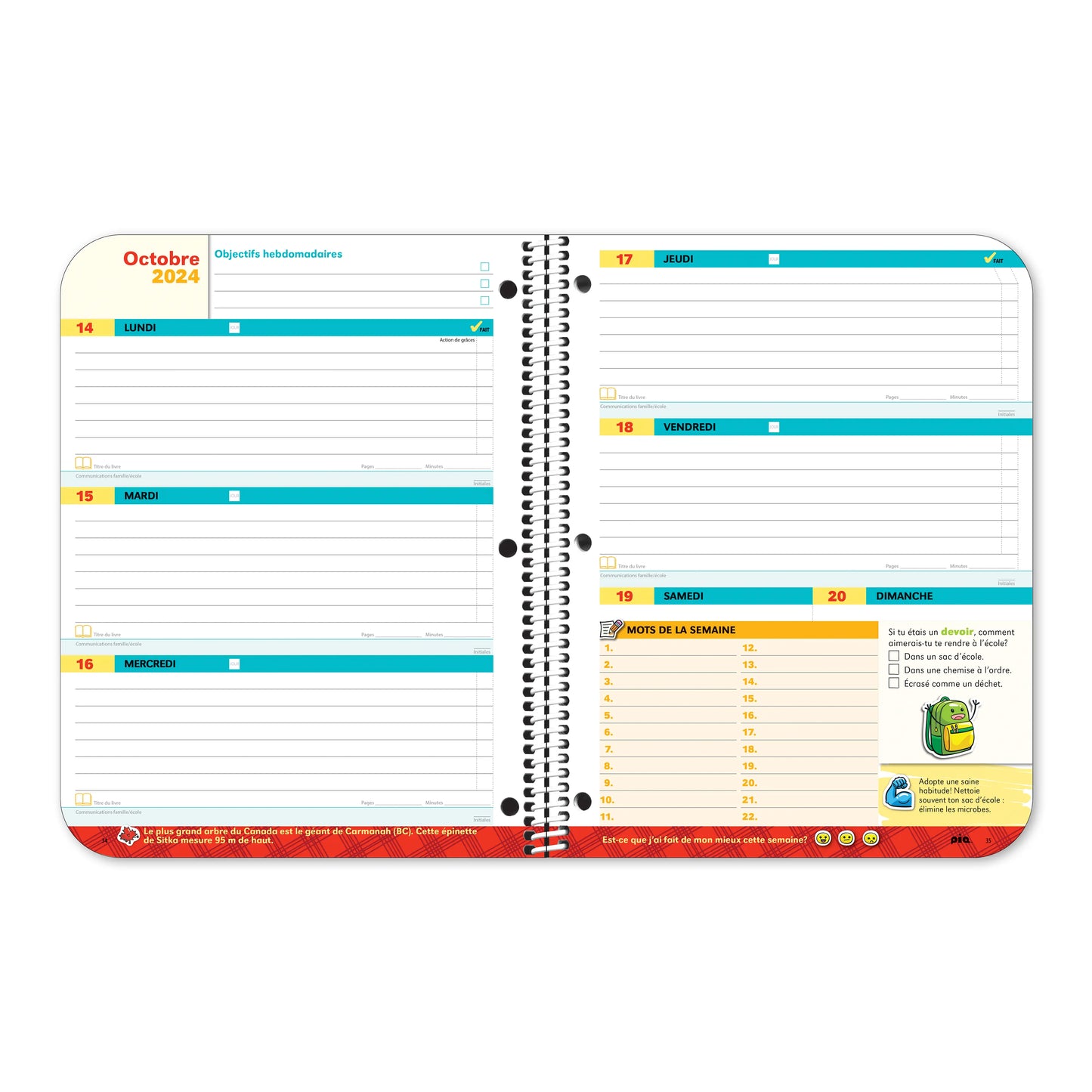 L'agenda canadien, primaire 3-6 (Sur mesure)