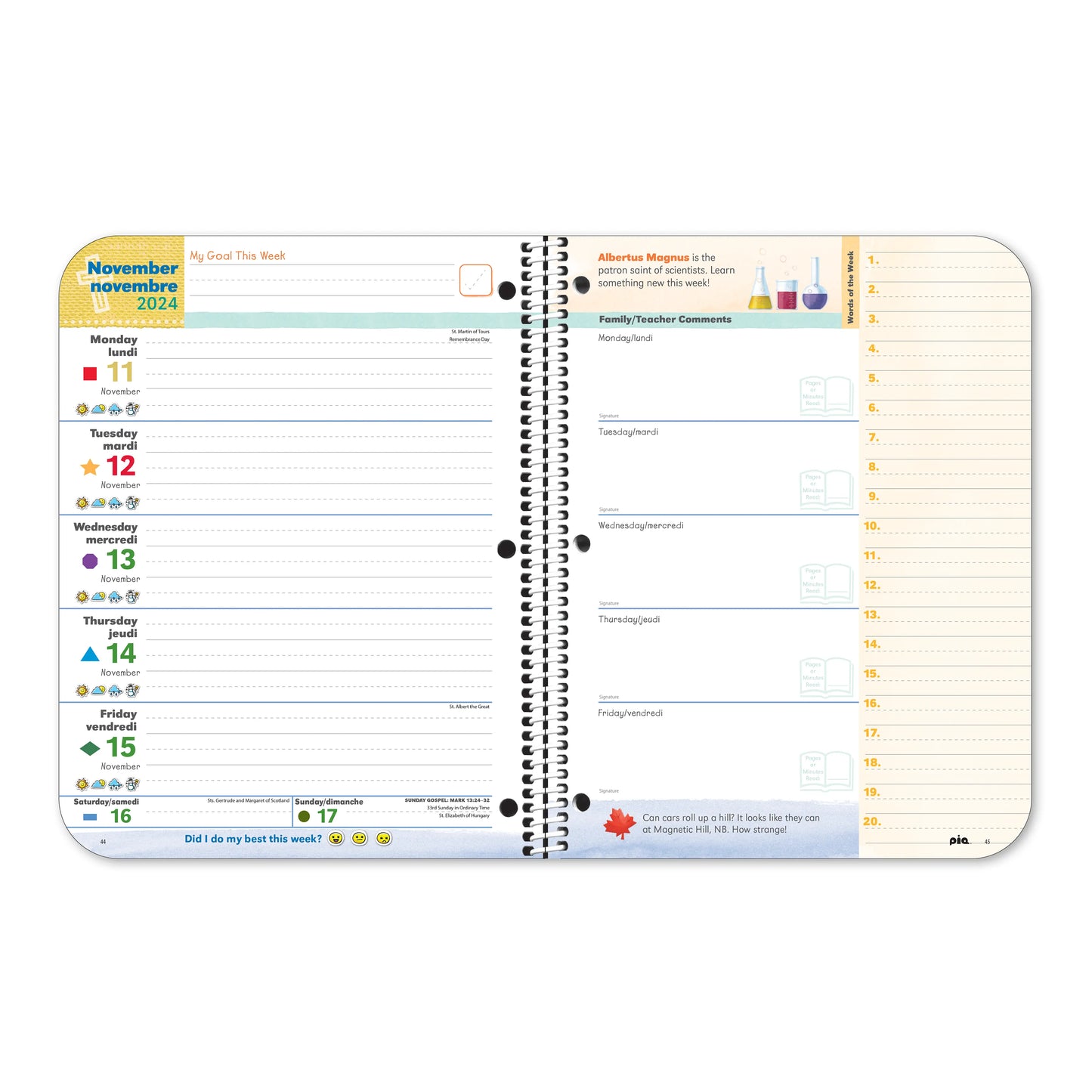 Catholic Faith Planner: Grades 1-2 (Stock)