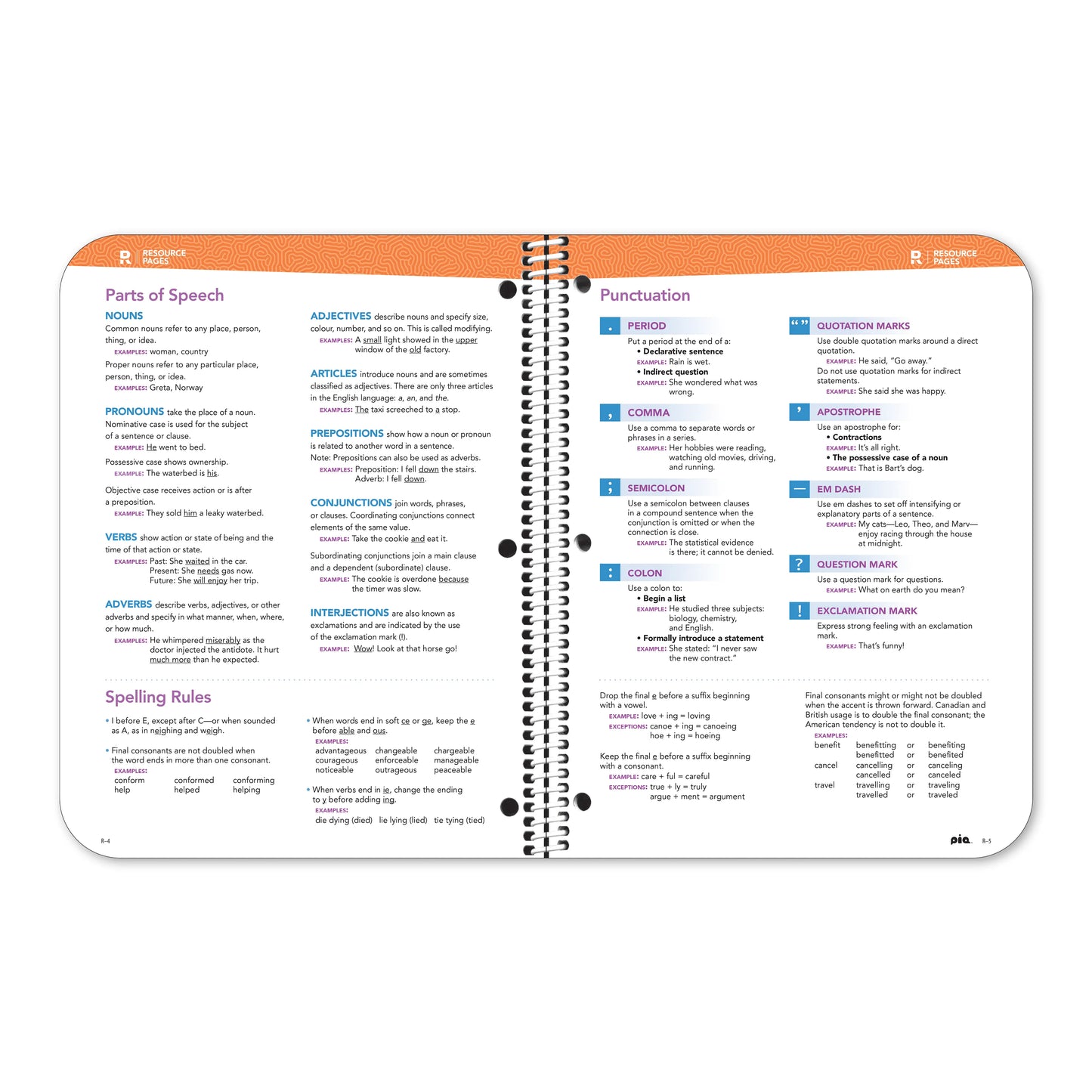 The Wellness Project Planner: Grades 6-8 (7" x 9") (Custom)