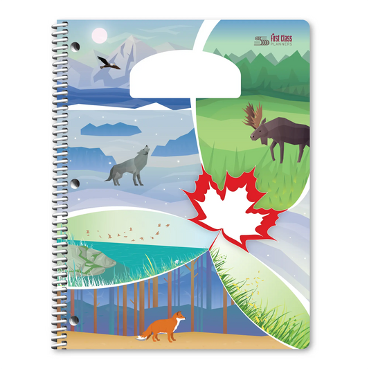 Les inventions canadiennes : primaire 3-6 (Stock)
