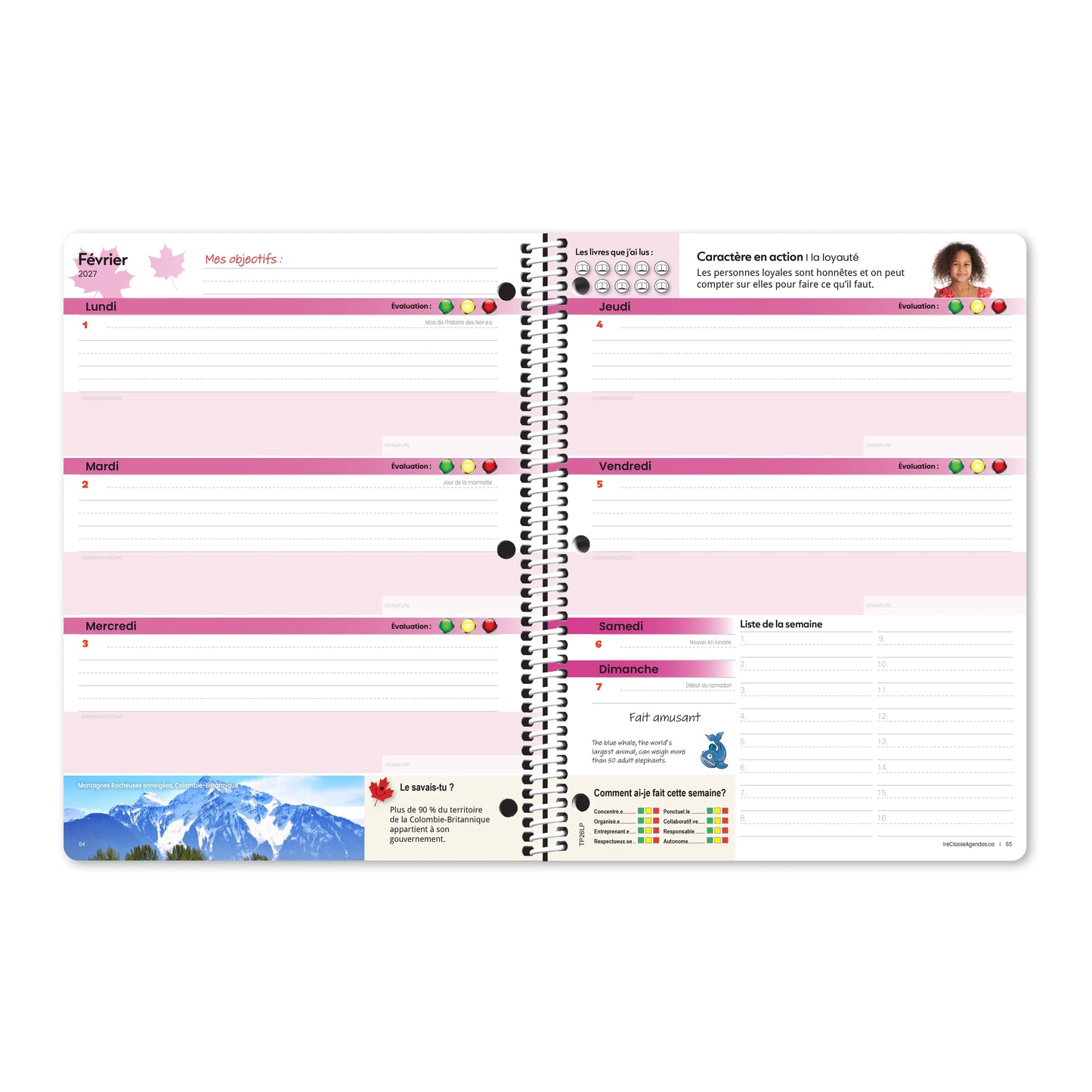 Les inventions canadiennes : primaire 1-2 (Stock)