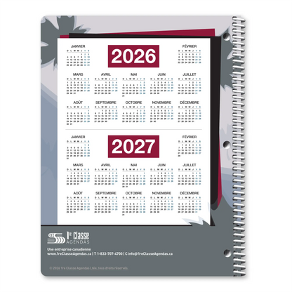 Les inventions canadiennes : primaire 1-2 (Stock)