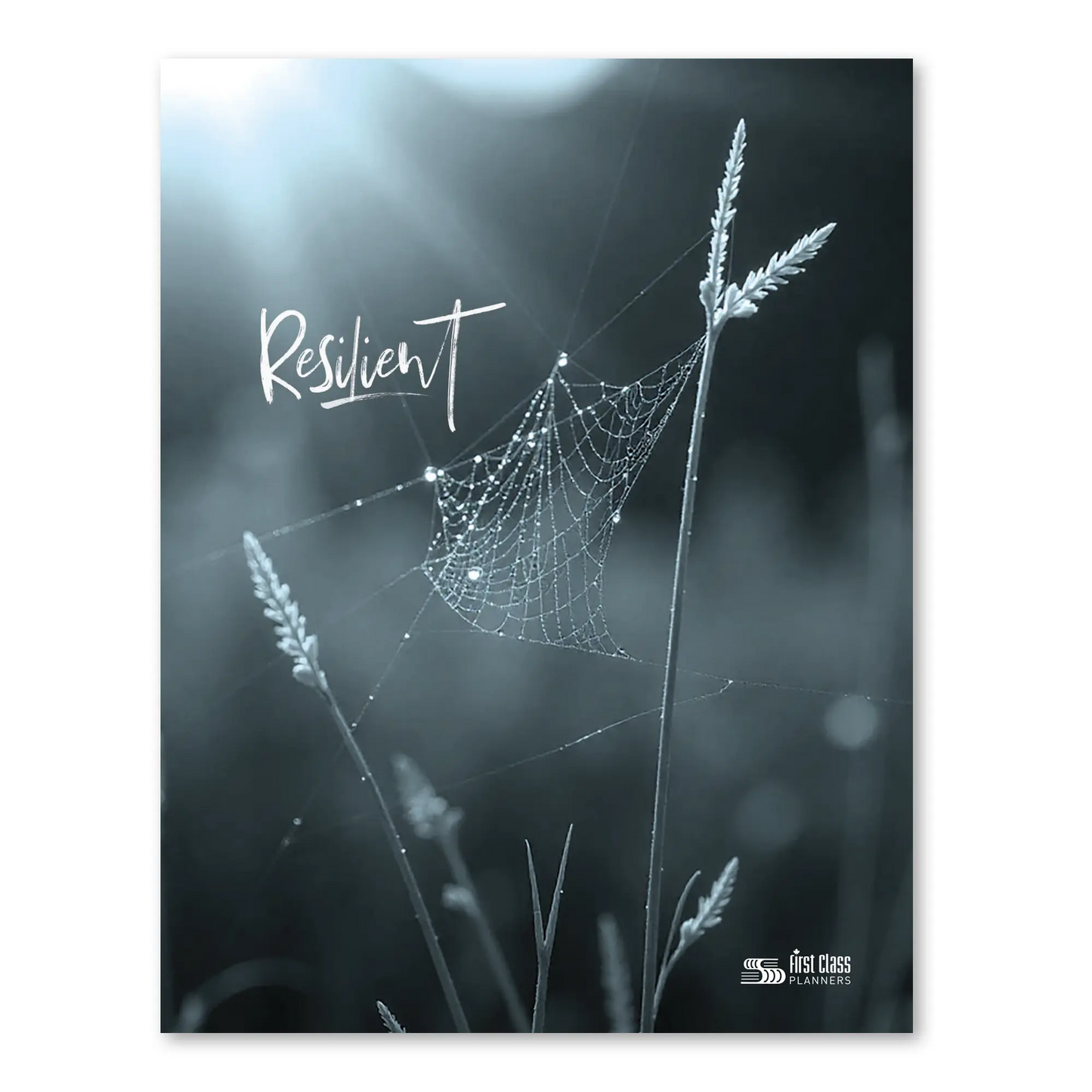 The Staff Monthly Planner
